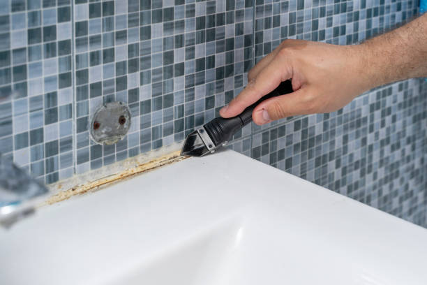 Best Post-Flood Mold Remediation in Westchester, FL